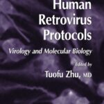 خرید و دانلود نسخه کامل کتاب Human Retrovirus Protocols: Virology and Molecular Biology (Methods in Molecular Biology 304)