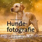 خرید و دانلود نسخه کامل کتاب Hundefotografie: Die besten Tipps für das perfekte Hundefoto