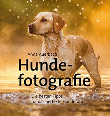 خرید و دانلود نسخه کامل کتاب Hundefotografie: Die besten Tipps für das perfekte Hundefoto