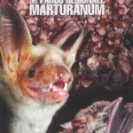 خرید و دانلود نسخه کامل کتاب I Chirotteri del Parco Regionale Marturanum