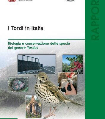 خرید و دانلود نسخه کامل کتاب I Tordi in Italia. Biologia e conservazione delle specie del genere Turdus