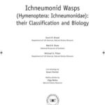 خرید و دانلود نسخه کامل کتاب Ichneumonid Wasps (Hymenoptera Ichneumonidae): their Classification and Biology