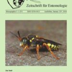 خرید و دانلود نسخه کامل کتاب Identification key to the European species of the bee genus Nomada Scopoli, 1770 (Hymenoptera: Apidae), including 23 new species