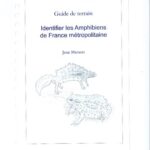 خرید و دانلود نسخه کامل کتاب Identifier les Amphibiens de France métropolitaine, Guide de terrain