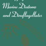 خرید و دانلود نسخه کامل کتاب Identifying Marine Diatoms and Dinoflagellates