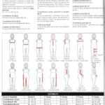 خرید و دانلود نسخه کامل کتاب Il Modellismo bambino