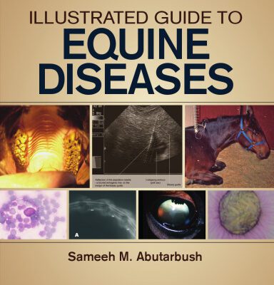 خرید و دانلود نسخه کامل کتاب Illustrated Guide to Equine Diseases