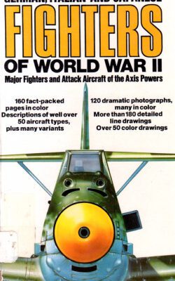 خرید و دانلود نسخه کامل کتاب Illustrated Guide to German, Italian and Japanese Fighters of World War II