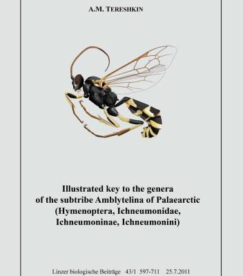 خرید و دانلود نسخه کامل کتاب Illustrated key to the tribes of subtribe Amblyetina of Palaearctic (Hymenoptera, Ichneumonidae, Ichneumoninae, Ichneumonini).