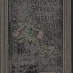 خرید و دانلود نسخه کامل کتاب Ilustrowane dzieje literatury polskiej. Tom IV. Czasy reakcyi. Od Wazów po Sasów