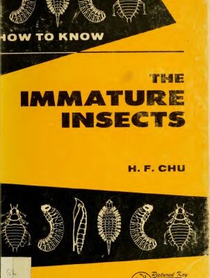 خرید و دانلود نسخه کامل کتاب Immature Insects
