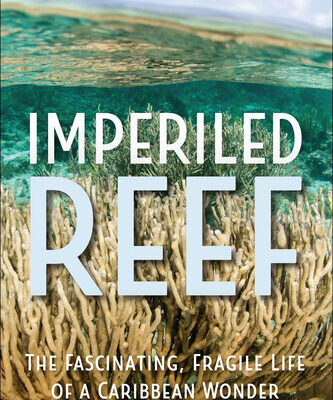 خرید و دانلود نسخه کامل کتاب Imperiled Reef: The Fascinating, Fragile Life of a Caribbean Wonder