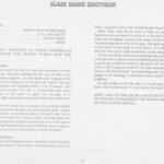 خرید و دانلود نسخه کامل کتاب Improvised Slam Bang Shotgun Manual