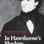 خرید و دانلود نسخه کامل کتاب In Hawthorne’s shadow : American romance from Melville to Mailer