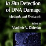 خرید و دانلود نسخه کامل کتاب In Situ Detection of DNA Damage: Methods and Protocols