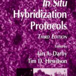 خرید و دانلود نسخه کامل کتاب In Situ Hybridization Protocols