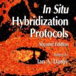 خرید و دانلود نسخه کامل کتاب In Situ Hybridization Protocols