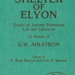 خرید و دانلود نسخه کامل کتاب In the Shelter of Elyon: Essays on Ancient Palestinian Life and Literature (JSOT Supplement)