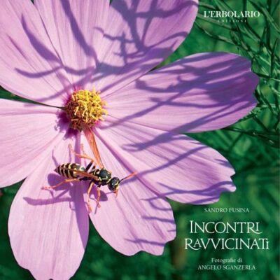 خرید و دانلود نسخه کامل کتاب Incontri ravvicinati