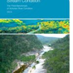 خرید و دانلود نسخه کامل کتاب Index of stream condition : the third benchmark of Victorian river condition.