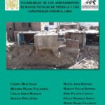 خرید و دانلود نسخه کامل کتاب Informalidad en la construción de unidades inmobiliarias en zonas vulnerables de los asentamientos humanos Nicolás de Piérola y Los Cañaverales (Chosica, Lima)