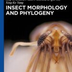 خرید و دانلود نسخه کامل کتاب Insect Morphology and Phylogeny: A textbook for students of entomology