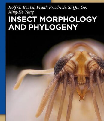 خرید و دانلود نسخه کامل کتاب Insect Morphology and Phylogeny: A textbook for students of entomology