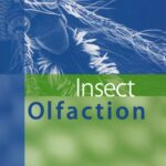 خرید و دانلود نسخه کامل کتاب Insect Olfaction