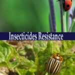 خرید و دانلود نسخه کامل کتاب Insecticides Resistance