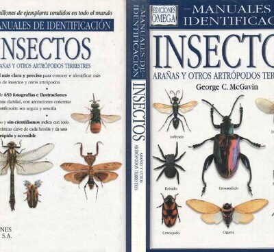 خرید و دانلود نسخه کامل کتاب Insectos, arañas y otros artrópodos terrestres. Manuales de identificacion