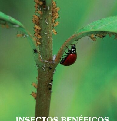 خرید و دانلود نسخه کامل کتاب Insectos Benéficos: Guía para su identificación
