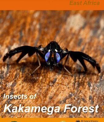 خرید و دانلود نسخه کامل کتاب Insects and allies of the Kakamega Forest National Reserve (Kenya, Africa). A field guide for tourists and naturalists