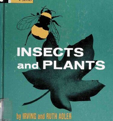 خرید و دانلود نسخه کامل کتاب Insects and Plants