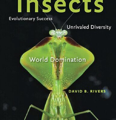خرید و دانلود نسخه کامل کتاب Insects. Evolutionary success, unrivaled diversity, and world domination
