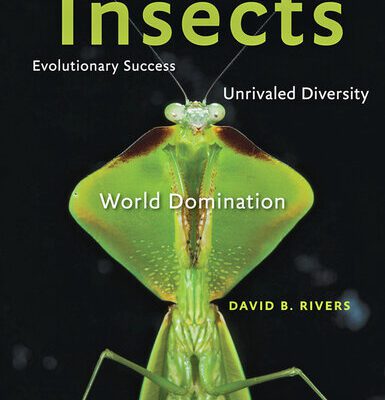 خرید و دانلود نسخه کامل کتاب Insects: Evolutionary Success, Unrivaled Diversity, and World Domination