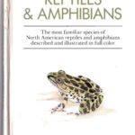 خرید و دانلود نسخه کامل کتاب Instant Guide to Reptiles and Amphibians (Instant Guides (Random House))