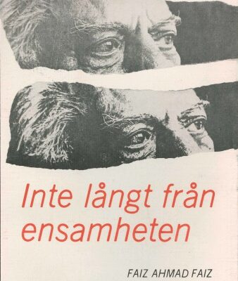 خرید و دانلود نسخه کامل کتاب Inte Långt Fran Ensamheten