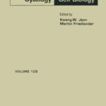 خرید و دانلود نسخه کامل کتاب International Review of Cytology, Vol. 128