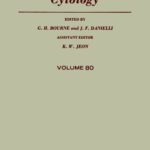 خرید و دانلود نسخه کامل کتاب International Review of Cytology, Vol. 80