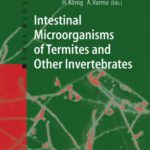 خرید و دانلود نسخه کامل کتاب Intestinal Microorganisms of Termites and Other Invertebrates