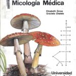 خرید و دانلود نسخه کامل کتاب Introducción a la micología médica