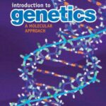 خرید و دانلود نسخه کامل کتاب Introduction to Genetics. A Molecular Approach
