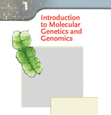 خرید و دانلود نسخه کامل کتاب Introduction To Molecular Genetics And Geonomics – hearts