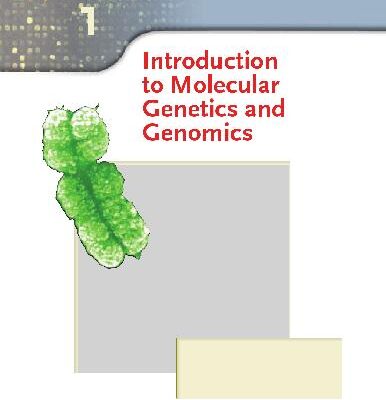 خرید و دانلود نسخه کامل کتاب Introduction To Molecular Genetics And Geonomics