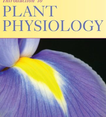 خرید و دانلود نسخه کامل کتاب Introduction to Plant Physiology