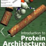 خرید و دانلود نسخه کامل کتاب Introduction to Protein Architecture