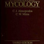 خرید و دانلود نسخه کامل کتاب Introductory Mycology