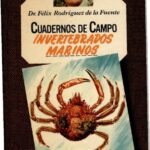 خرید و دانلود نسخه کامل کتاب Invertebrados marinos
