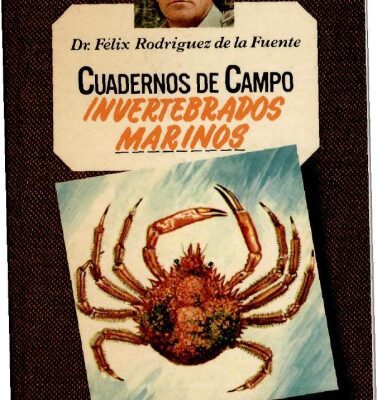 خرید و دانلود نسخه کامل کتاب Invertebrados marinos