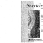 خرید و دانلود نسخه کامل کتاب Invertebrados